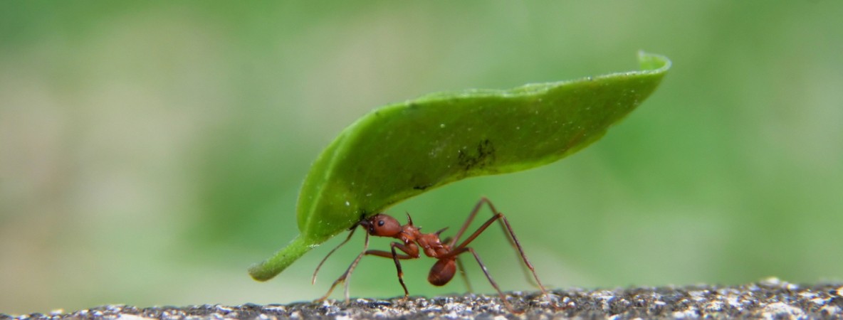 effectiveness Media Date.jpg