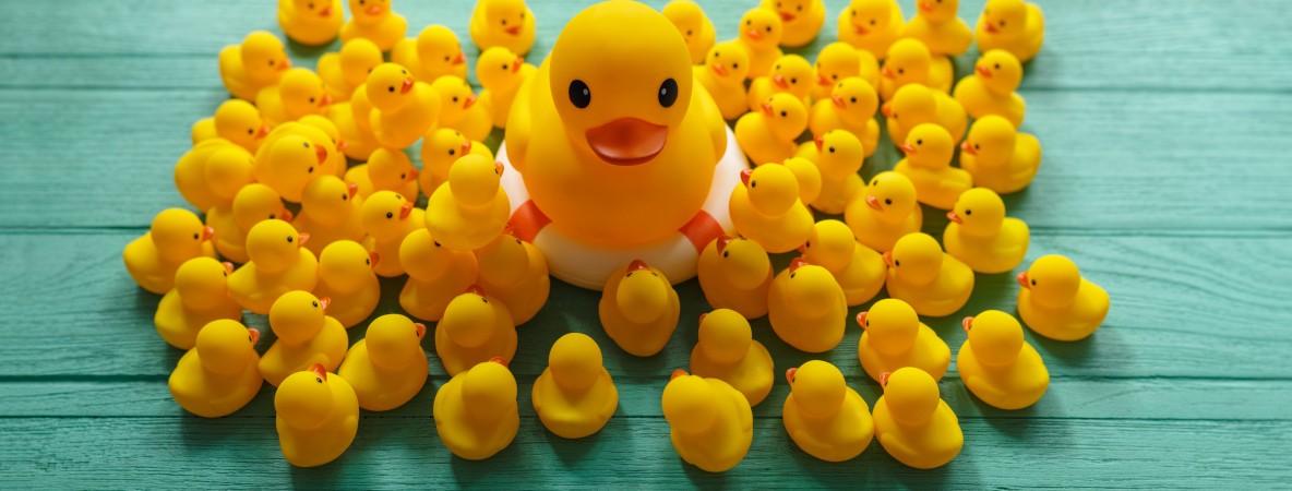 big & small brands.jpg