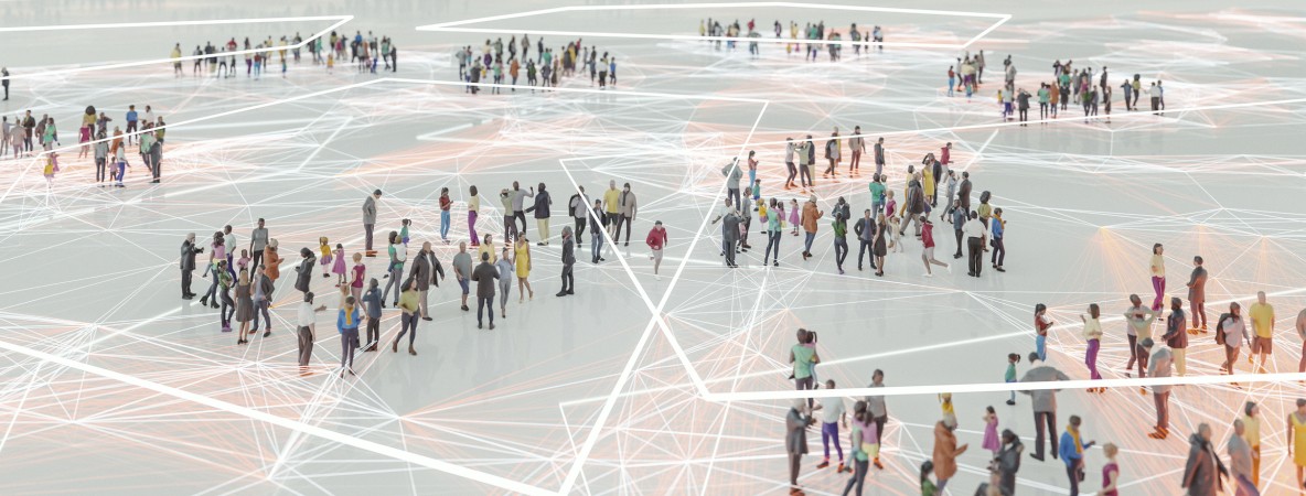 New members -visual.jpg