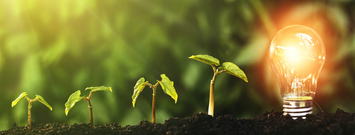 Sustainability study.jpg