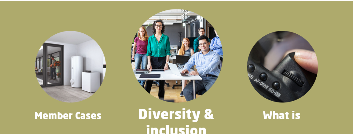 22Hightlight series.png