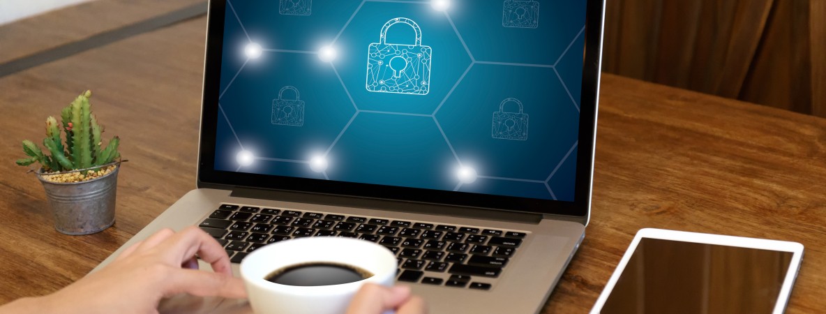 Privacy-Access-login-PERFORMANCE-Identification-Password-Passcode-and-Privacy-862176488_3869x2579.jp