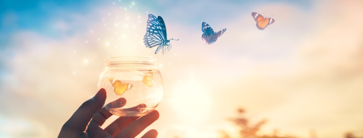 creativity change sustainability.jpg