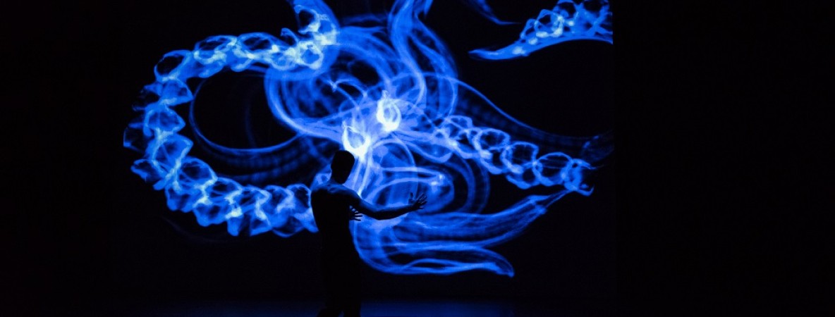 Beeld nacht van de verbeelding.jpg