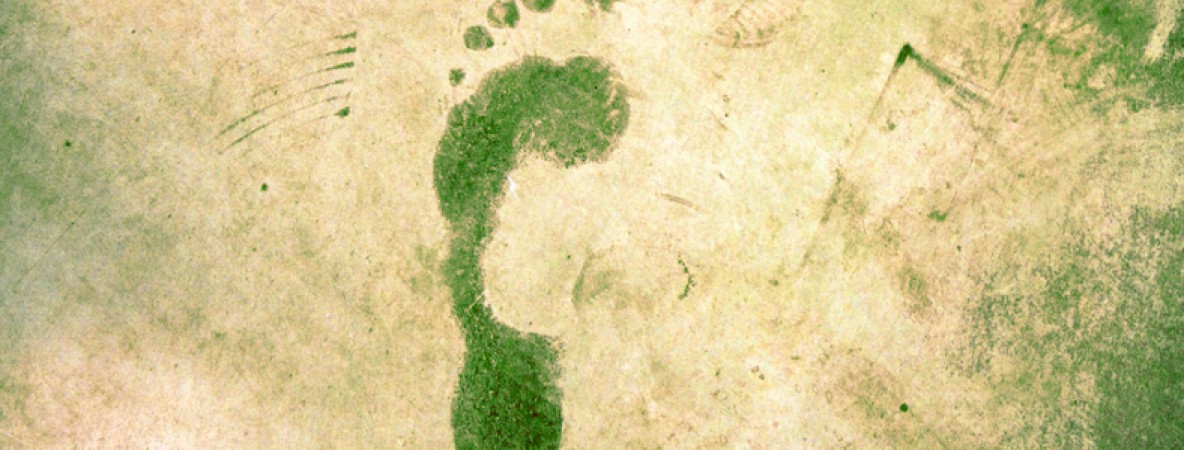 in-house carbon footprint.jpg