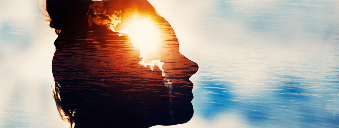 l’activité cérébrale.jpg