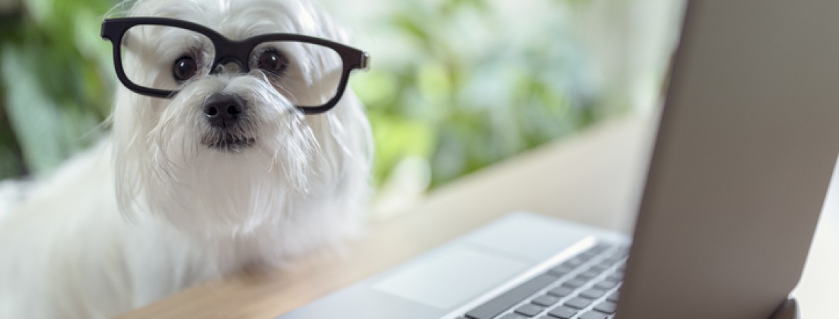 Most read articles - first semester 2023