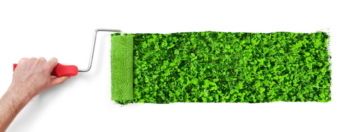 E-news 19.11 Greenwashing.jpg