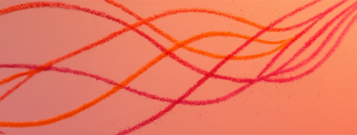 Achtergrond MD banner.png