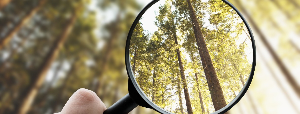 Vergrootglas benchmark.jpg