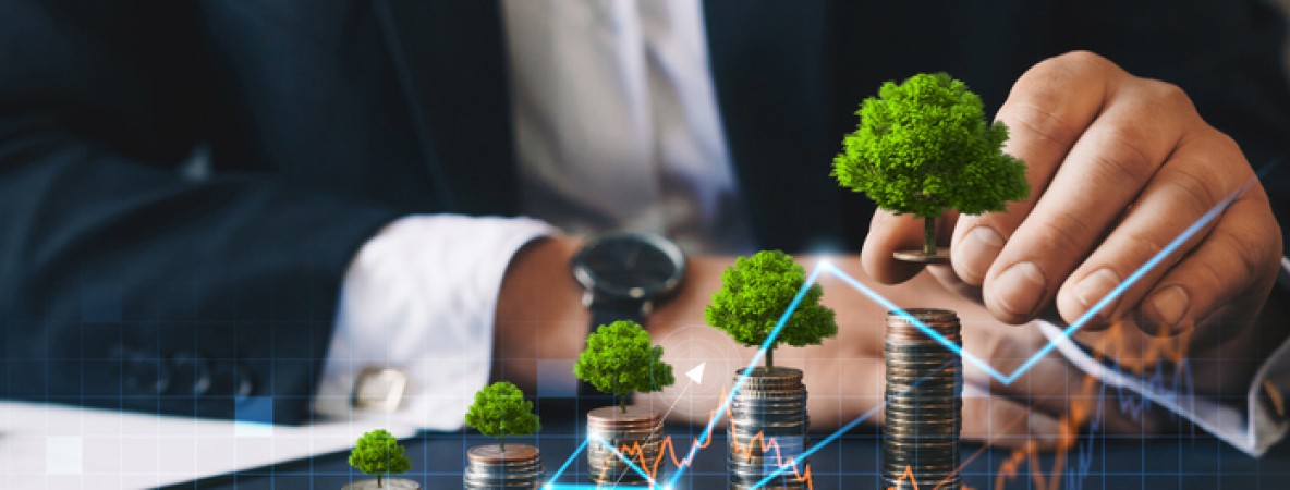 Sustainability study WFA Kantar.jpg