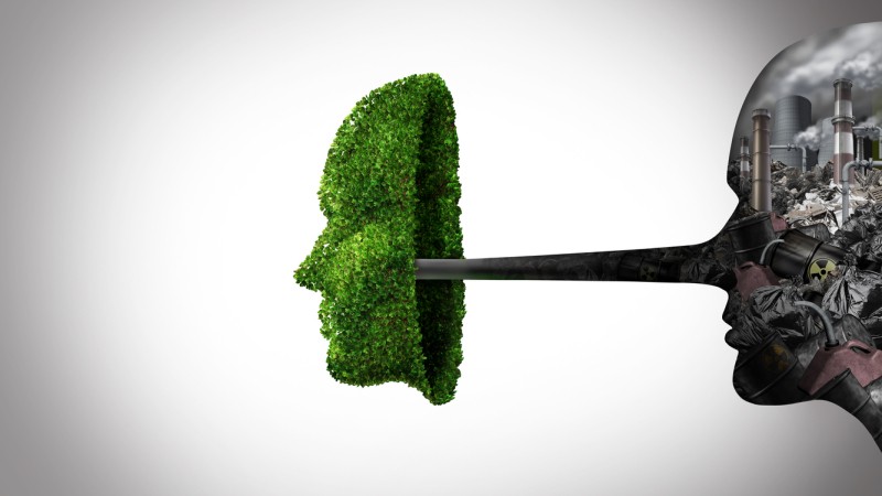 greenwashing.jpg
