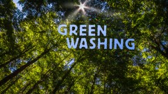 greenwashing.jpg