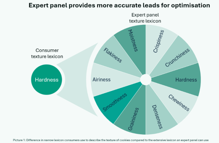 Expert panel