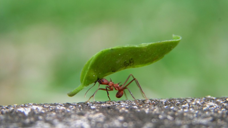 effectiveness Media Date.jpg