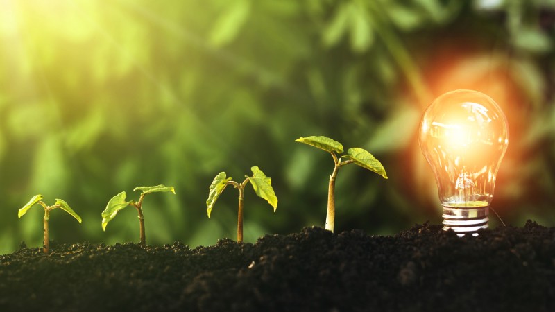 Sustainability study.jpg