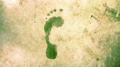in-house carbon footprint.jpg