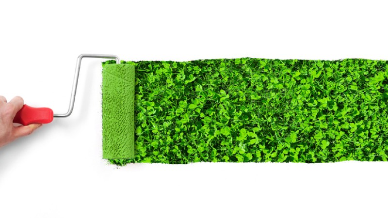 E-news 19.11 Greenwashing.jpg