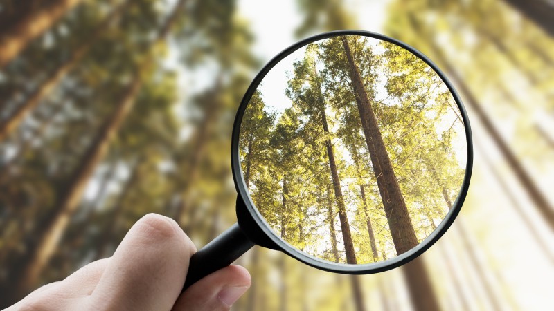 Vergrootglas benchmark.jpg